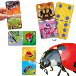 Insekten-Domino