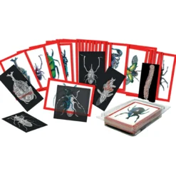 Insekten-Röntgenbilder und Bildkarten-Set, 72 tlg.
