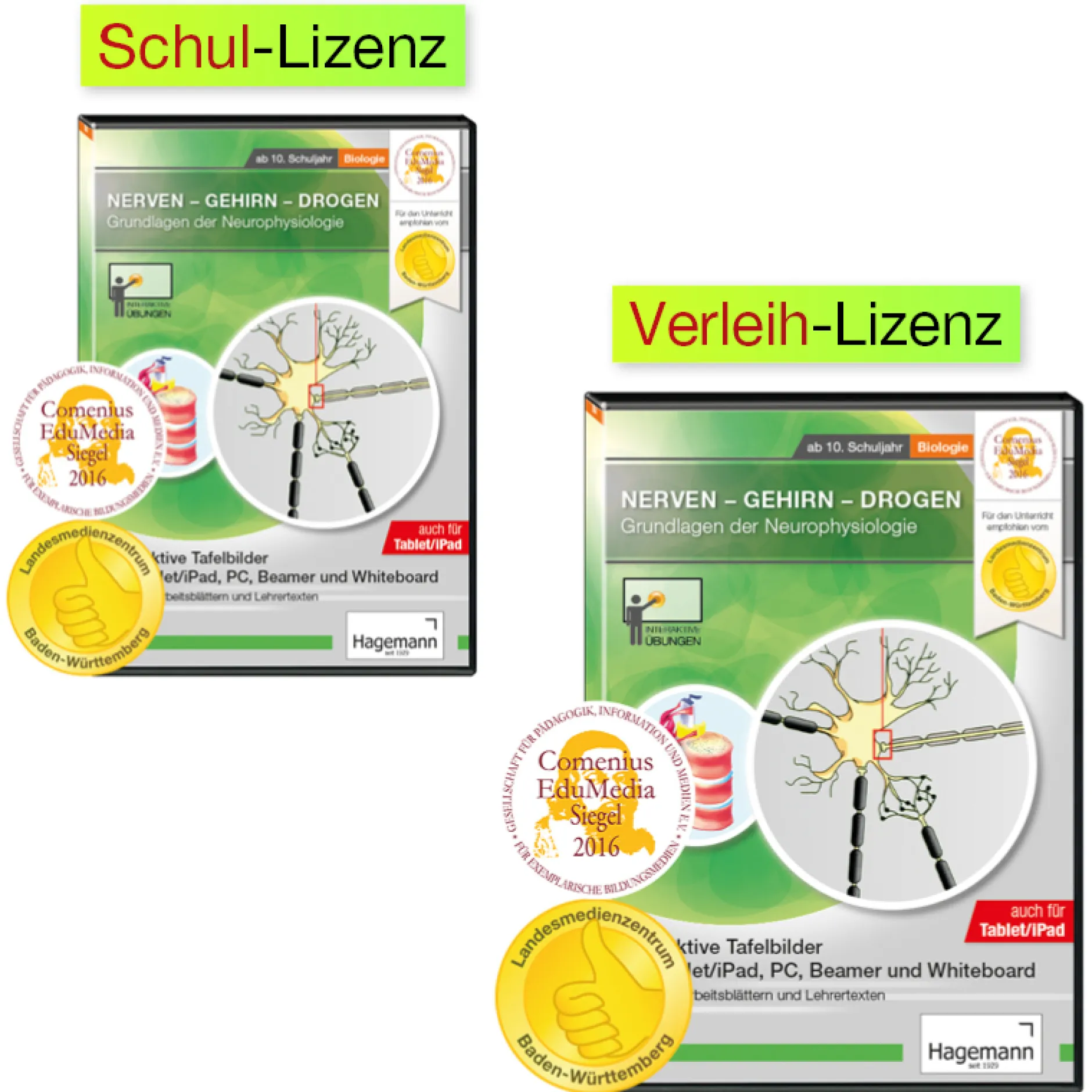 Interaktive Tafelbilder Nerven-Gehirn-Drogen (tabletfähig)