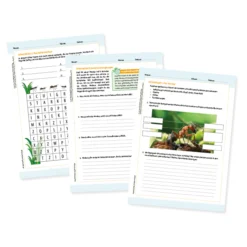Klassenprojektset Tiere züchten und beobachten