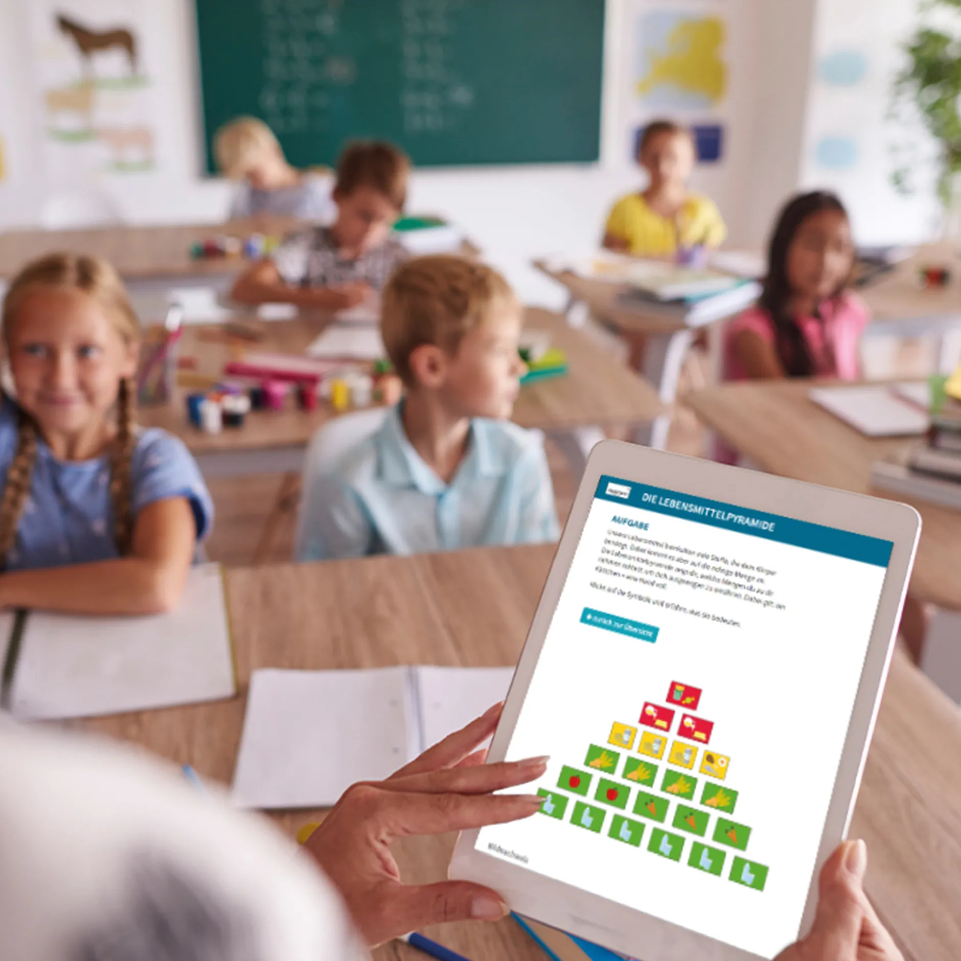 Klassenset Gesunde Ernährung und Mahlzeiten, 470-tlg.