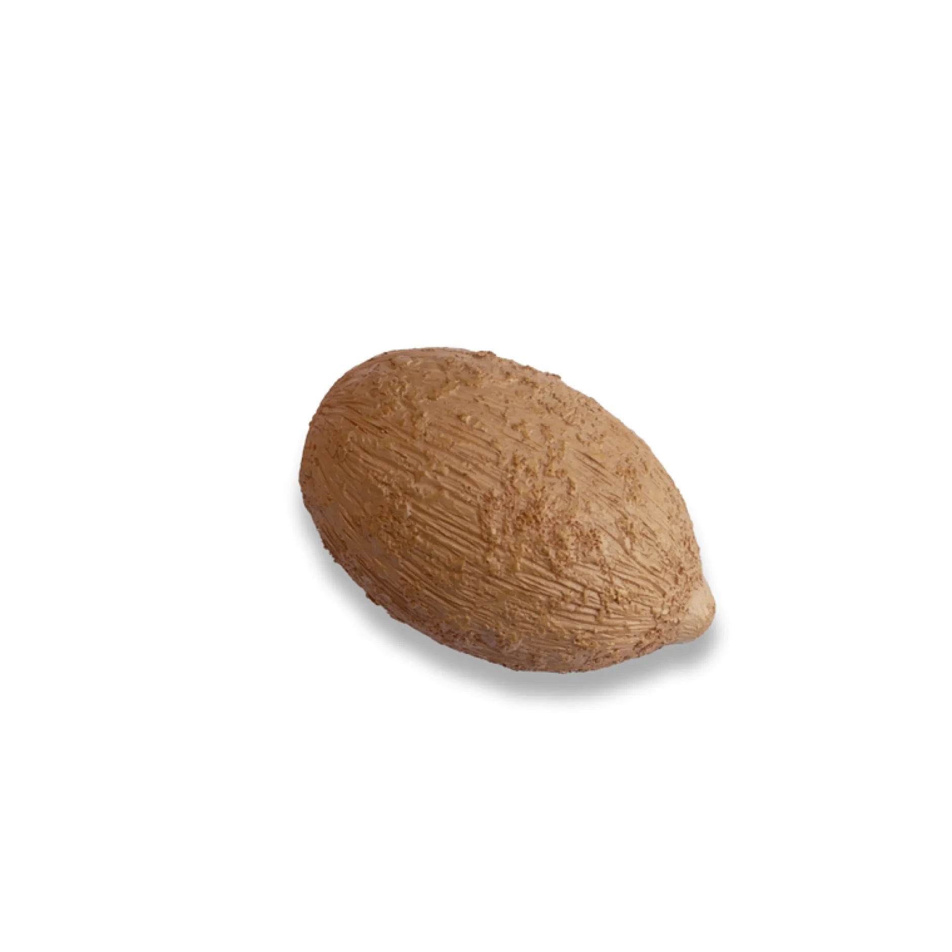 Lebenszyklus der Wildbiene (Modelle), 4-tlg.