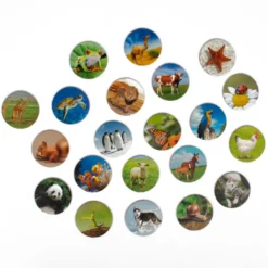 Lernspiel Tierwelten entdecken und klassifizieren