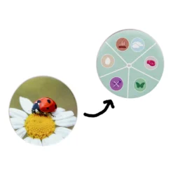 Lernspiel Tierwelten entdecken und klassifizieren
