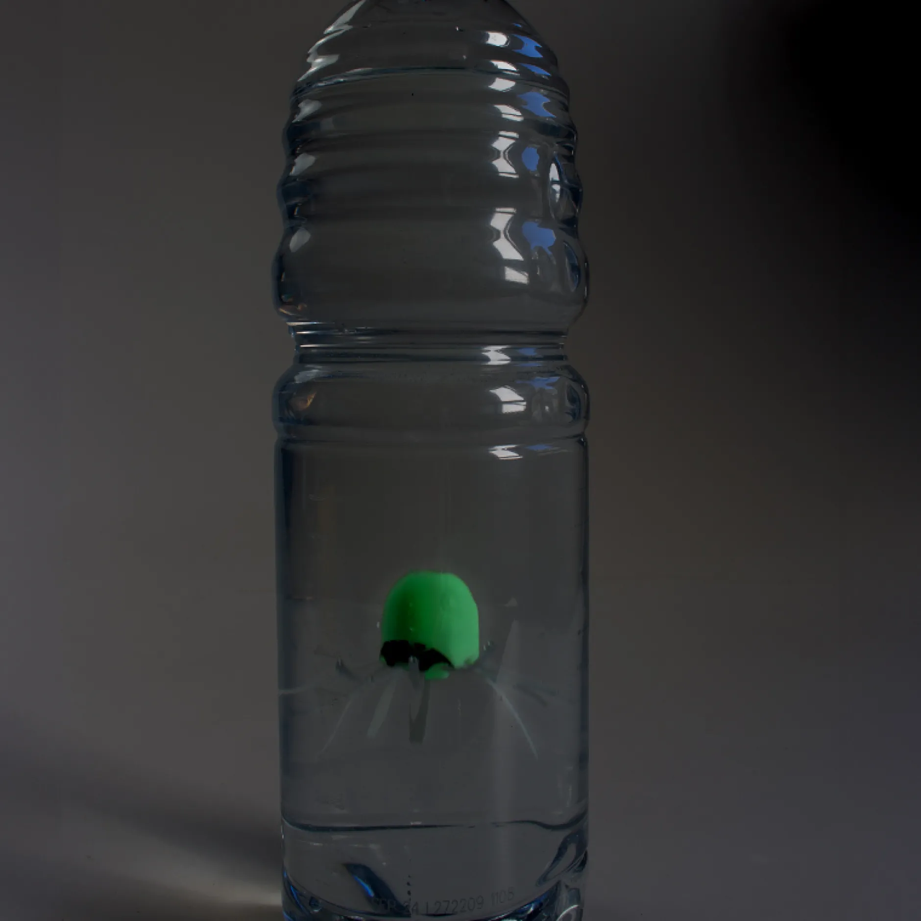 Lumineszierender Flaschentaucher
