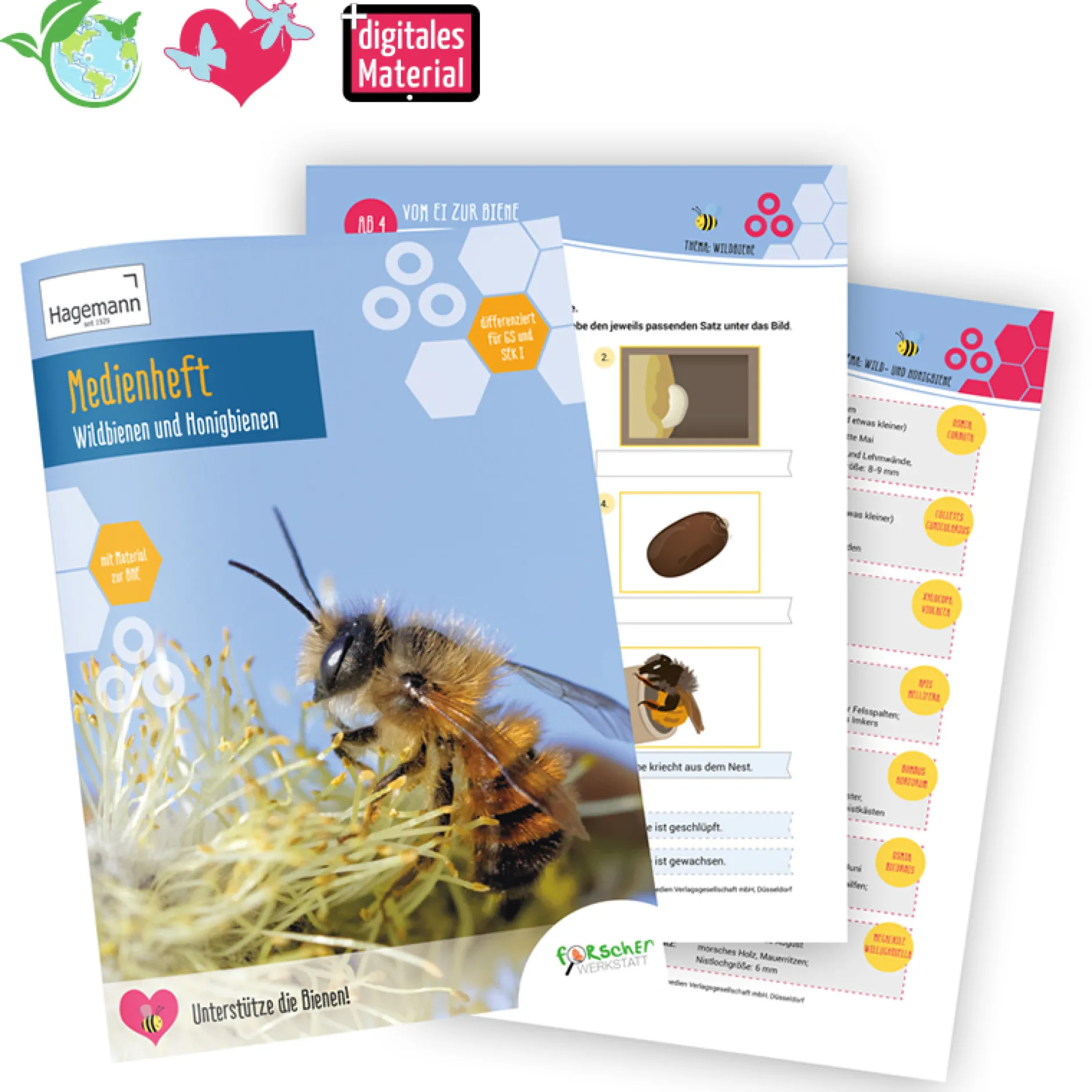 Medienheft Wildbienen und Honigbienen