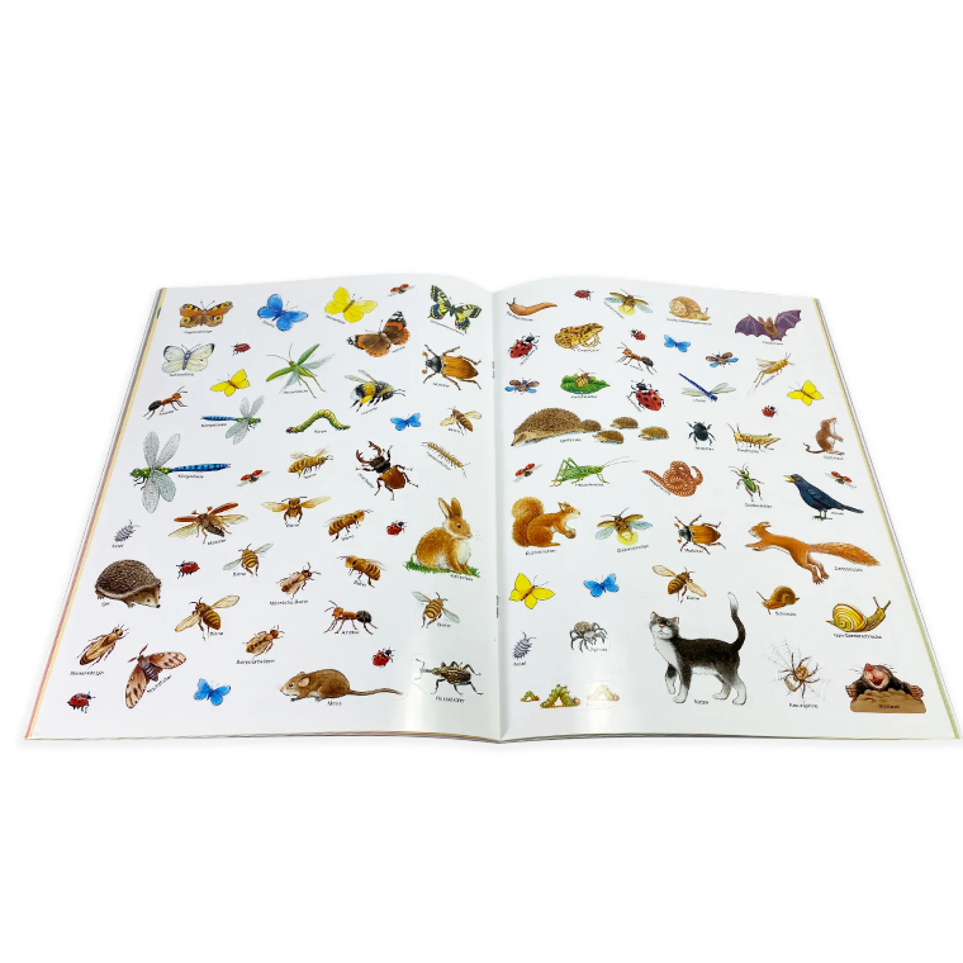 Mein großes Tierstickerbuch – Die kleine Honigbiene und ihre Freunde