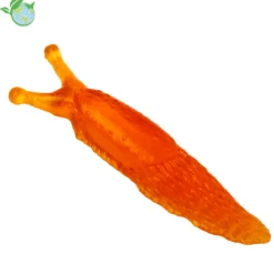Modell Nacktschnecke