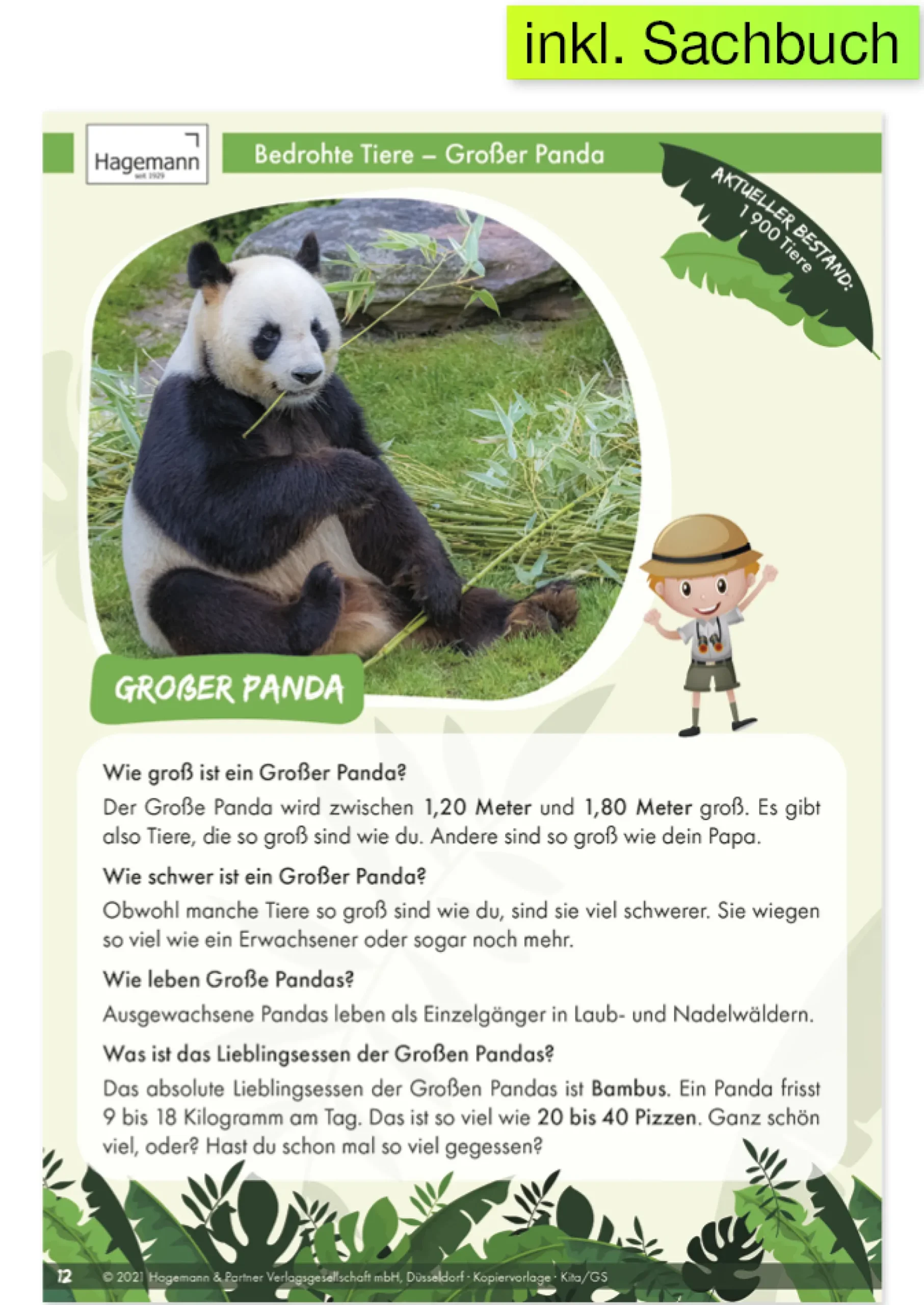 Projektset "Bedrohte Tiere an Land", 12-tlg