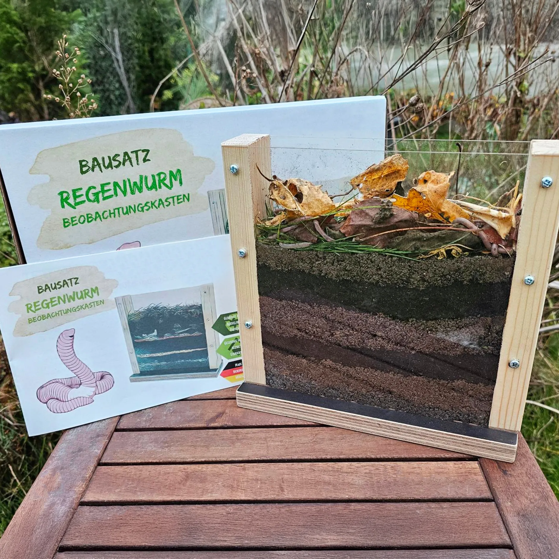 Regenwurm Beobachtungskasten, Holz