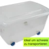 Roll-Box mit Deckel, 45 Liter, blaue Rollen