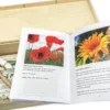 Saatgut-Box "Gartenbox für Kinder", Set 1, 67-tlg.