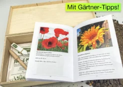 Saatgut-Box