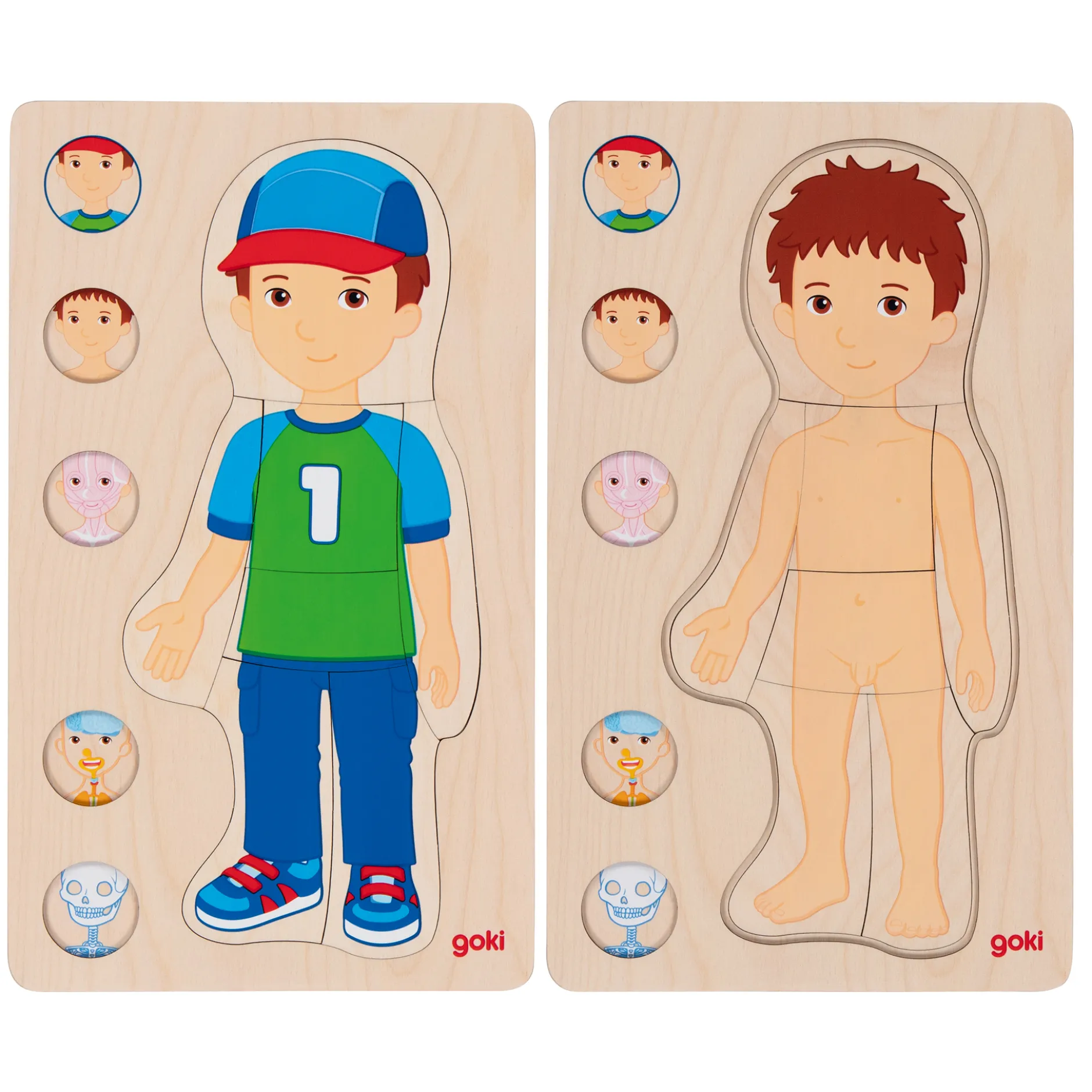 Schichtenpuzzle Anatomie Junge