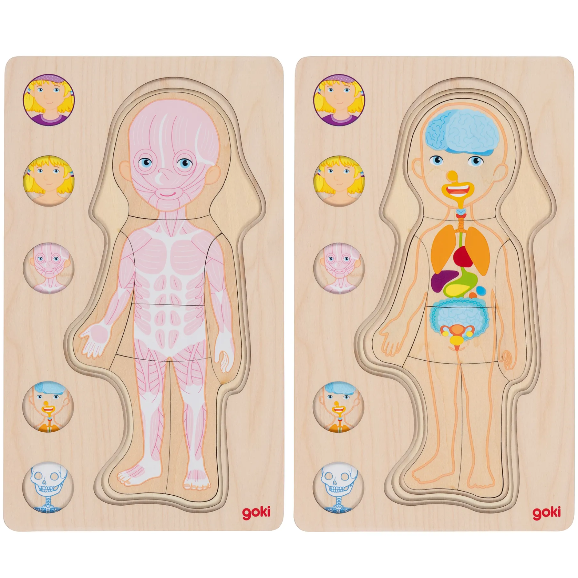 Schichtenpuzzle Anatomie Mädchen