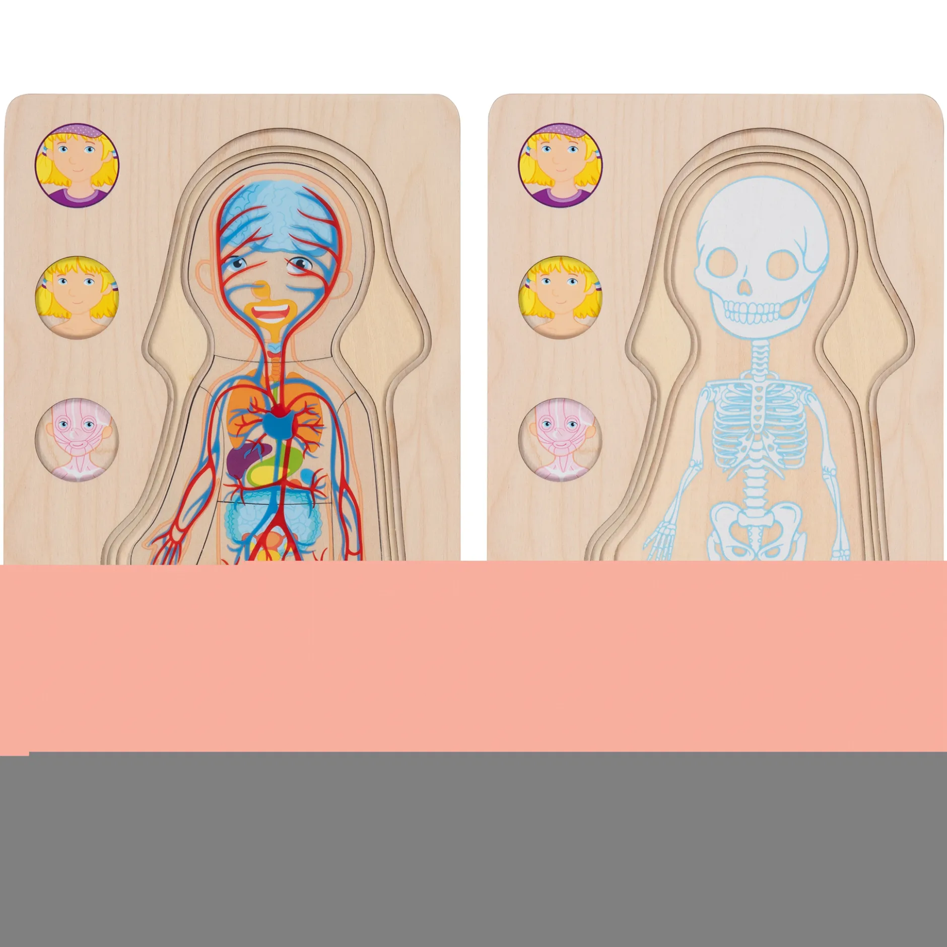 Schichtenpuzzle Anatomie Mädchen
