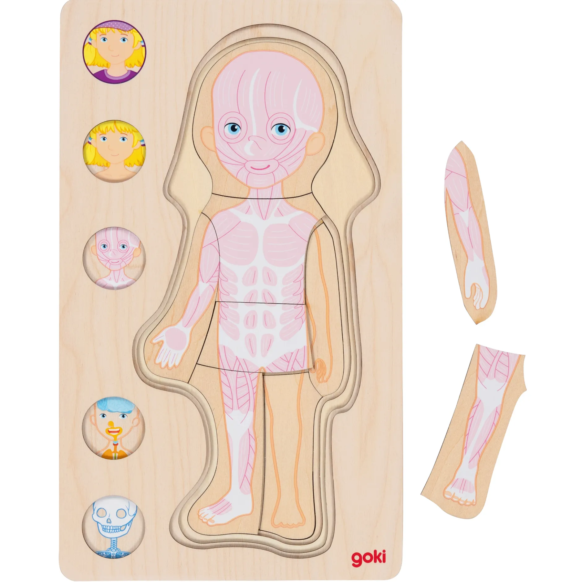 Schichtenpuzzle Anatomie Mädchen