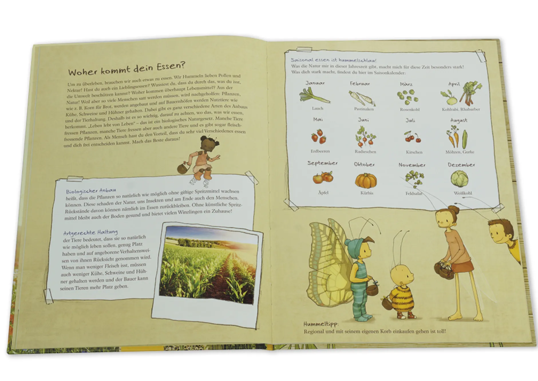 Set "Die kleine Hummel Bommel", Sachbilderbuch und Saatgut-Box