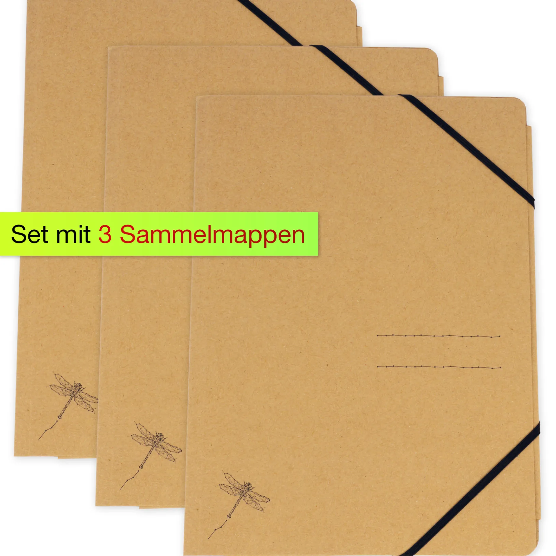 Set Sammelmappe "Natura" A4, 3 Stück