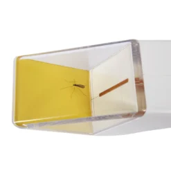 Snapy Insektenfänger