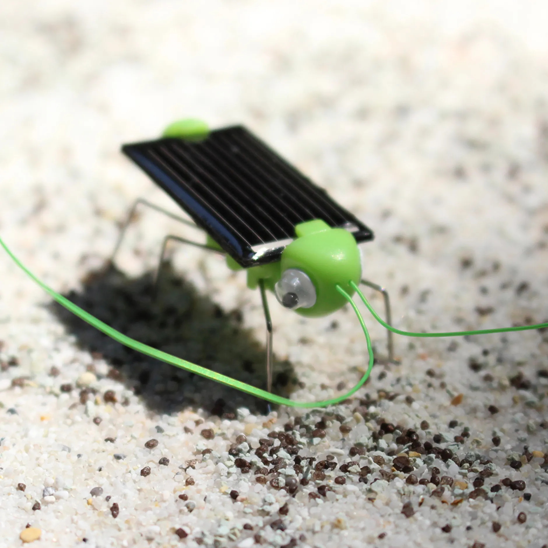 Solar-Grashüpfer