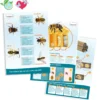 Sparset Bienenposter, 3-tlg.