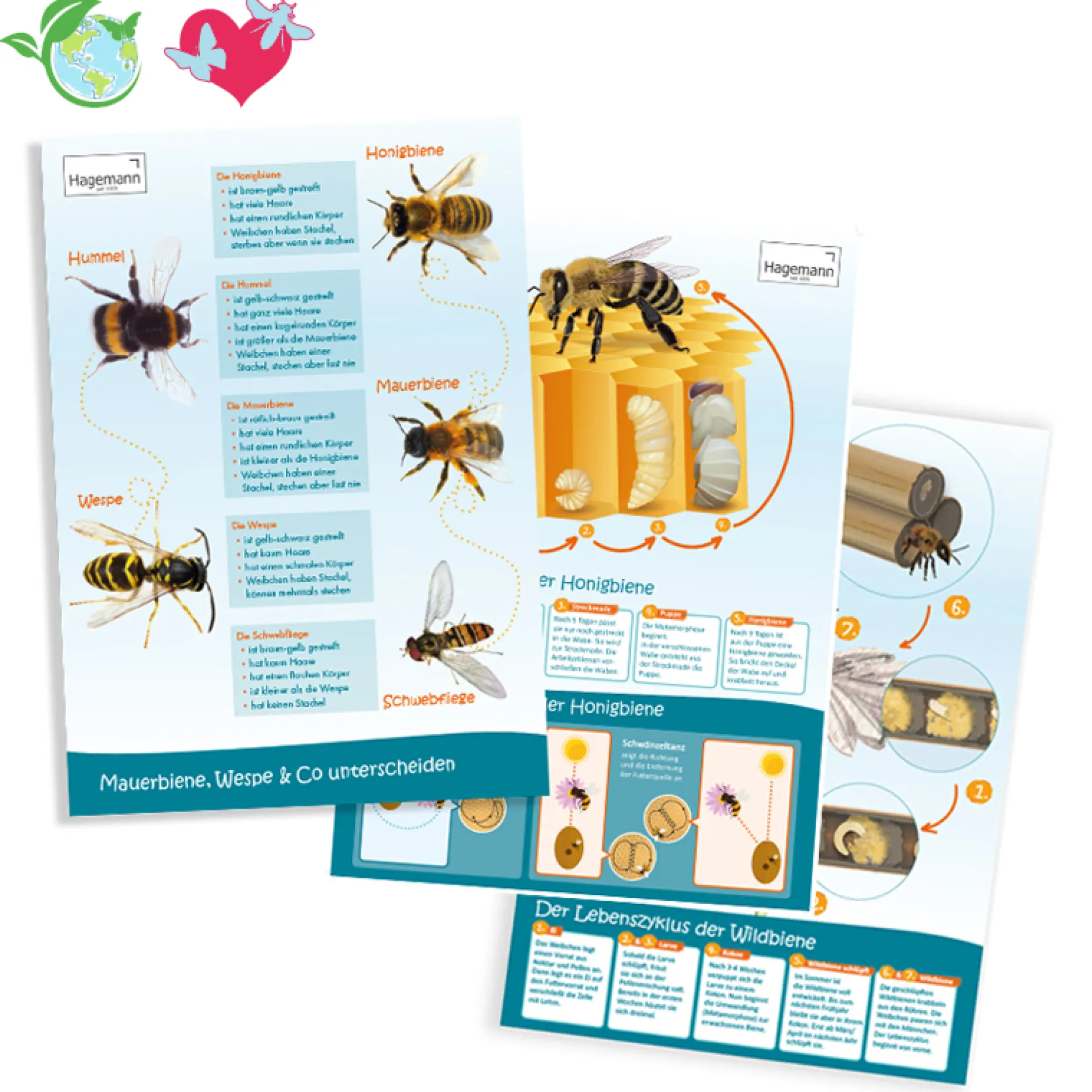 Sparset Bienenposter, 3-tlg.