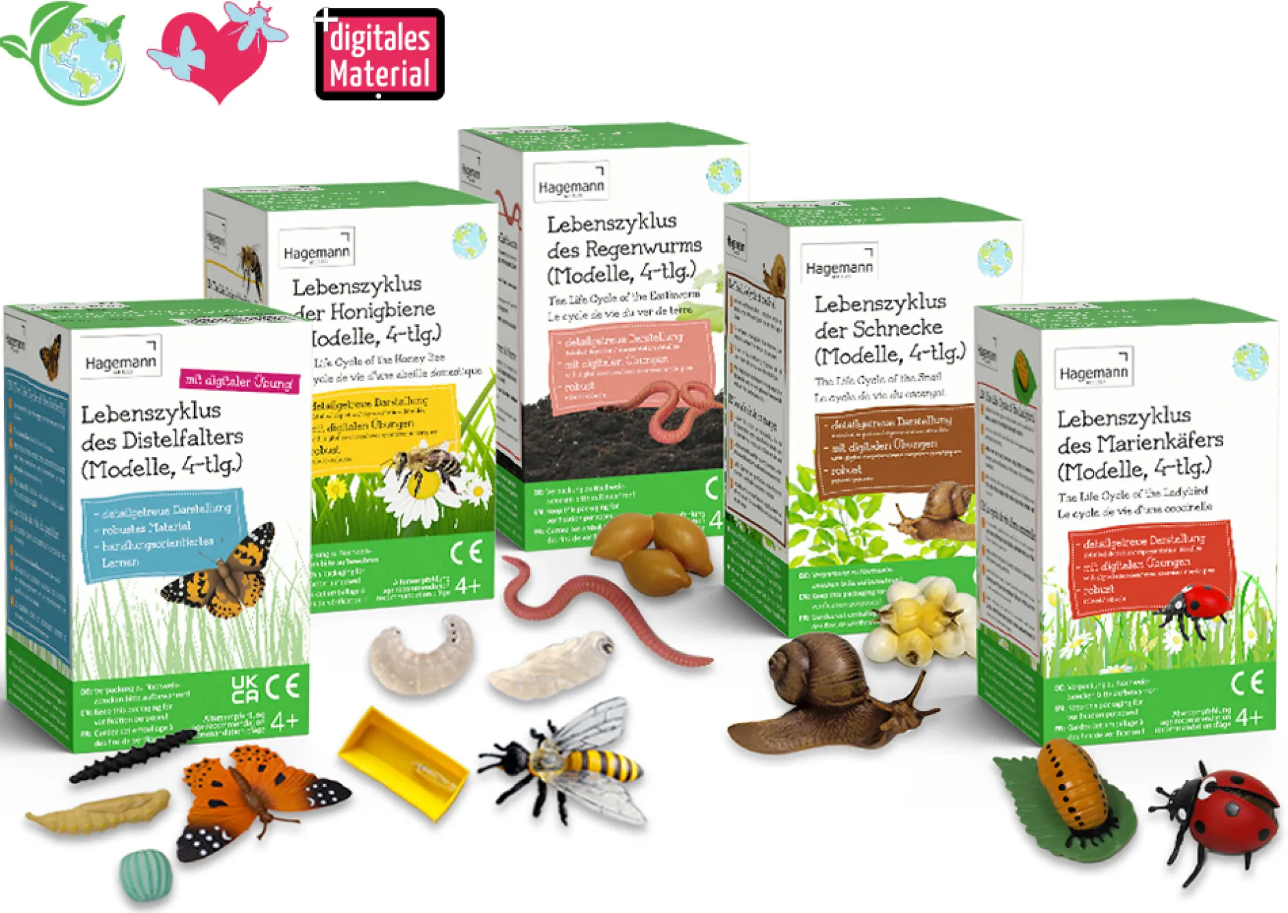 Sparset Lebenszyklus-Modelle Insekten & Co, 20-tlg.
