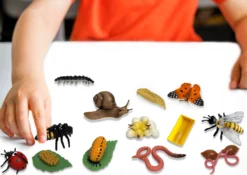 Sparset Lebenszyklus-Modelle Insekten & Co, 20-tlg.
