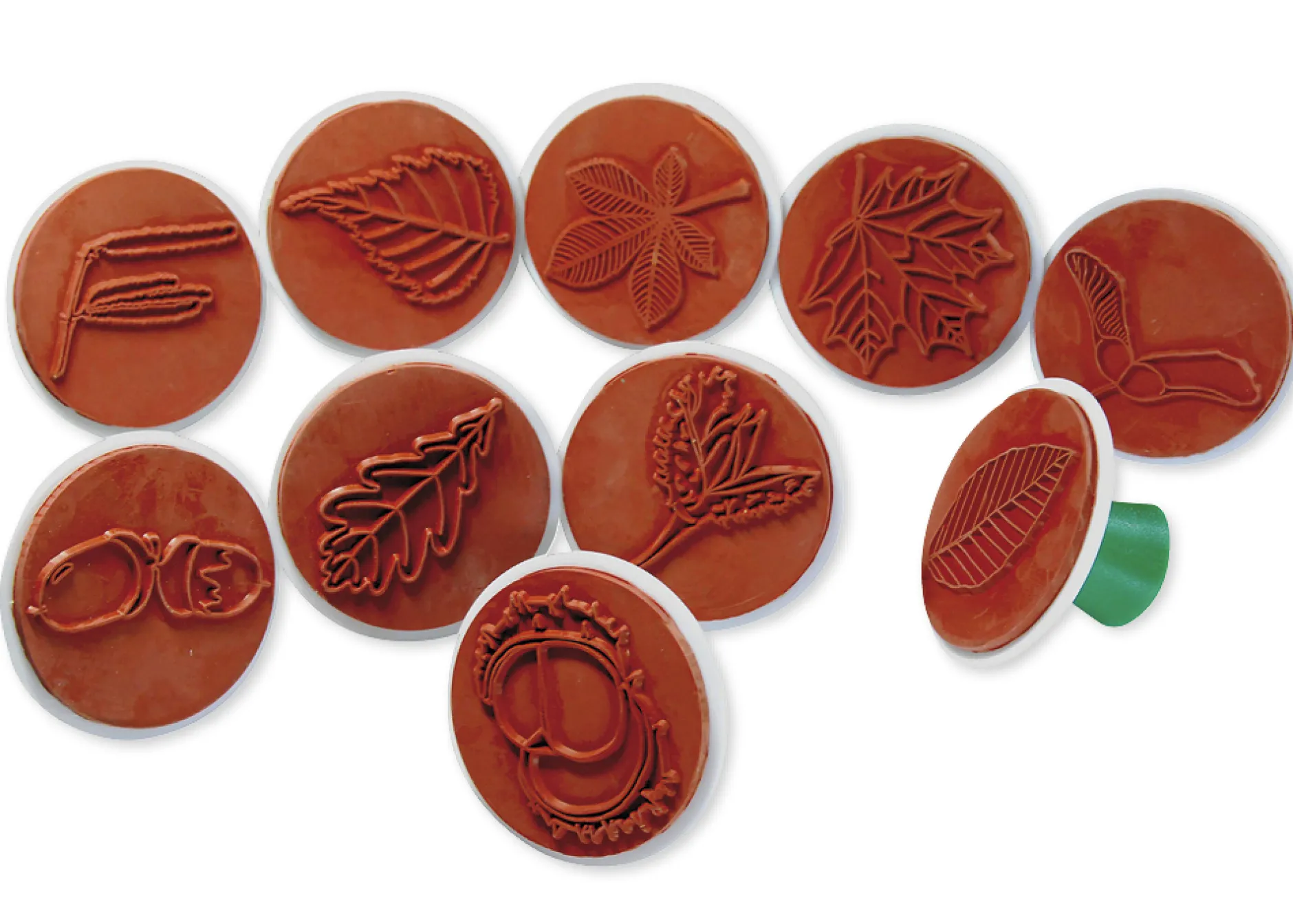 Stempel-Set "Bäume - Blätter und Früchte", 10 Stück