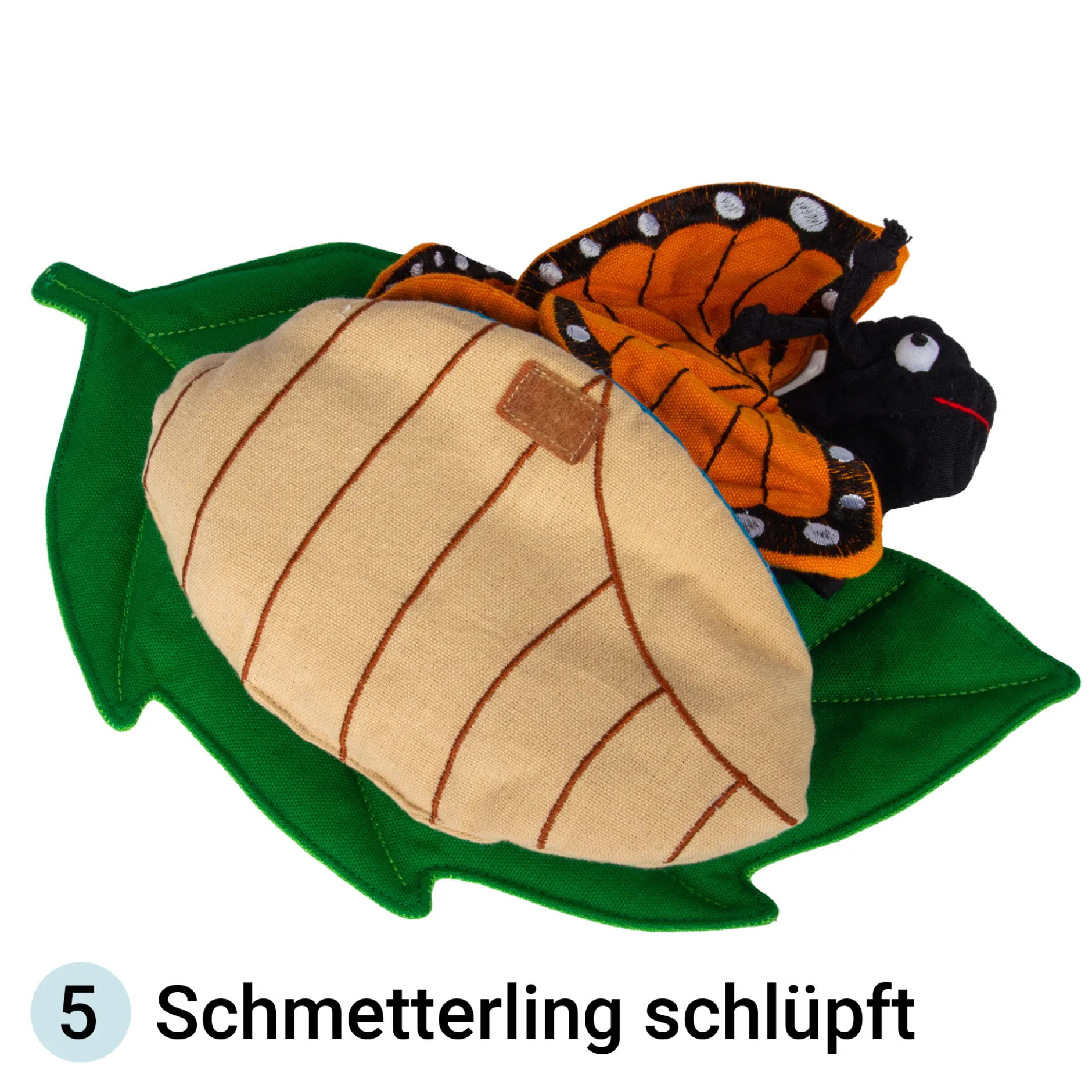Stoffmodell Lebenszyklus Schmetterling (3-tlg.)