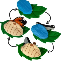 Stoffmodell Lebenszyklus Schmetterling (3-tlg.)