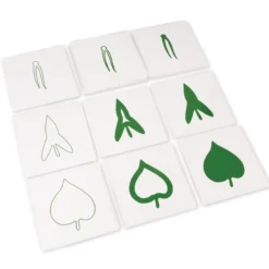 TimeTEX Botanischer Kartensatz "Montessori Premium"