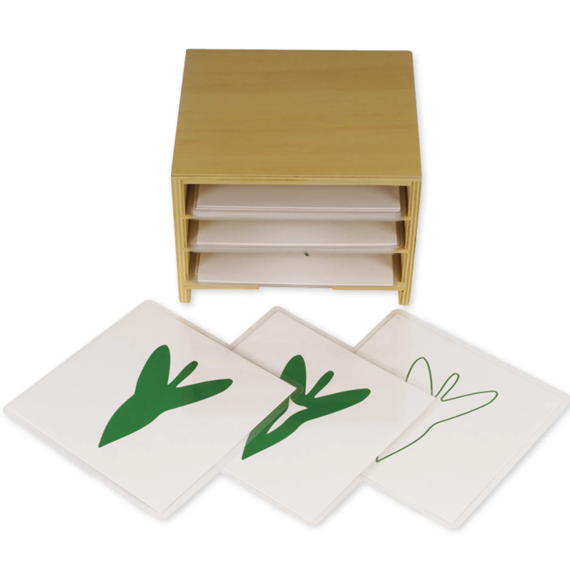 TimeTEX Kasten mit 3 Fächern für die botanischen Karten "Montessori Premium"