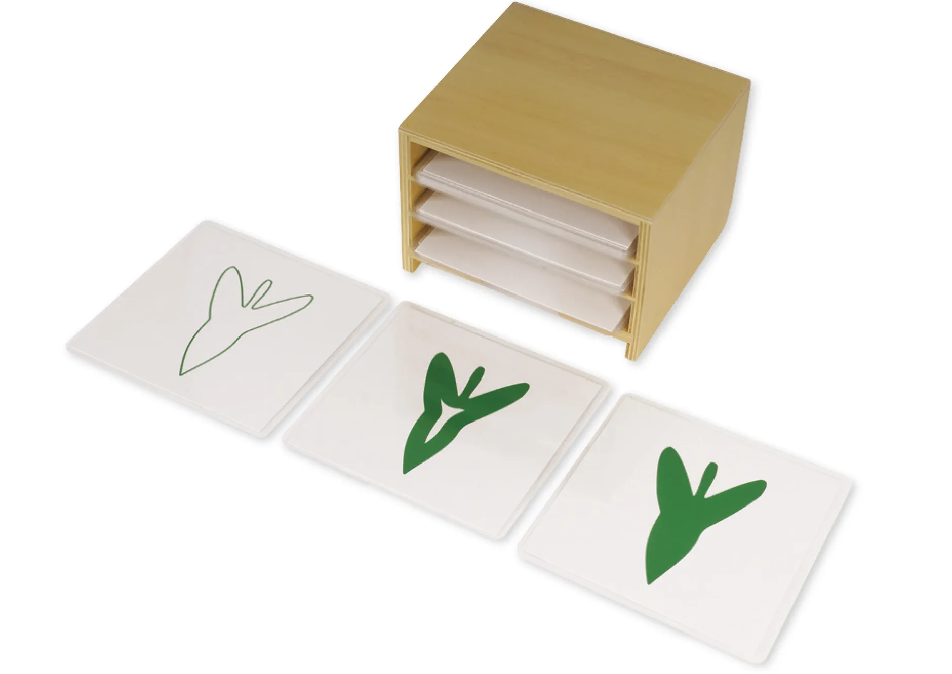 TimeTEX Kasten mit 3 Fächern für die botanischen Karten "Montessori Premium"