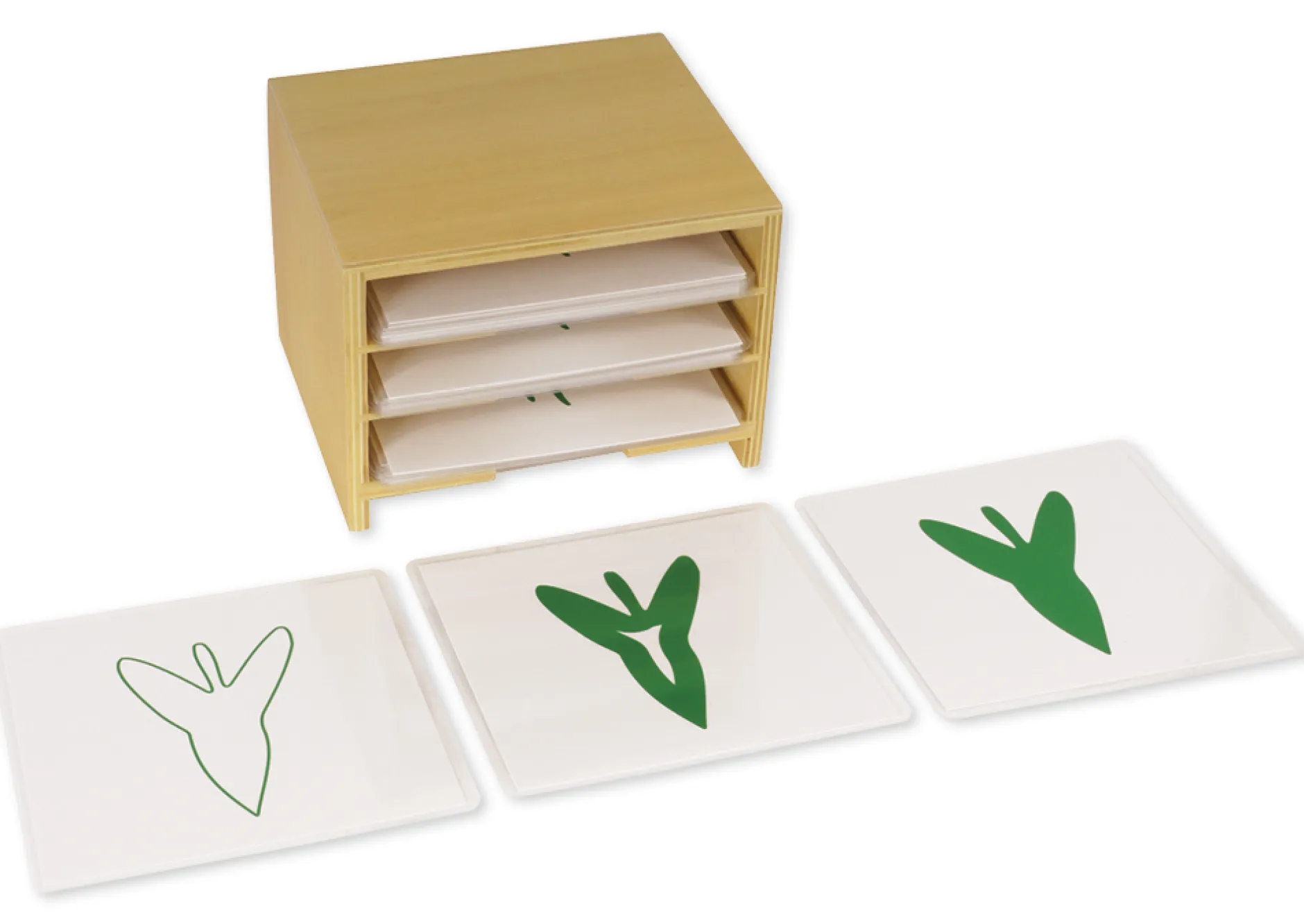 TimeTEX Kasten mit 3 Fächern für die botanischen Karten "Montessori Premium"