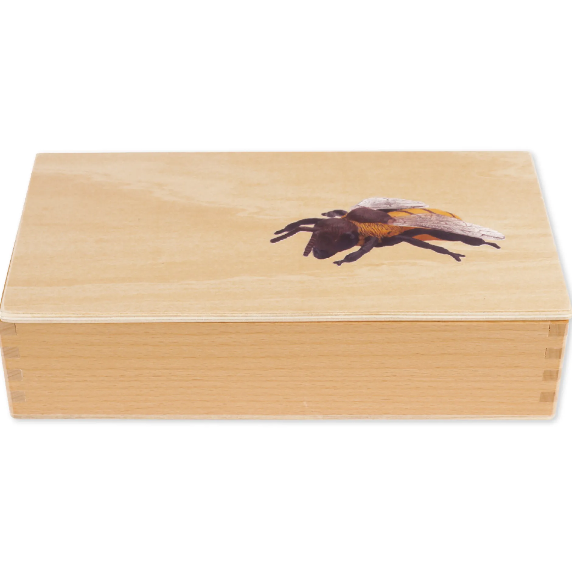 TimeTEX Lebenszyklus einer Honigbiene, in Holzbox "Montessori Premium"