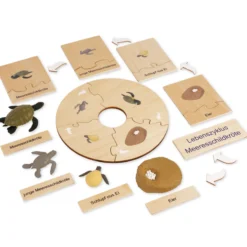 TimeTEX Lebenszyklus einer Schildkröte, in Holzbox "Montessori Premium"