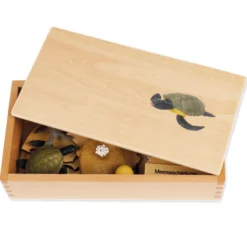 TimeTEX Lebenszyklus einer Schildkröte, in Holzbox "Montessori Premium"