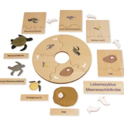 TimeTEX Lebenszyklus einer Schildkröte, in Holzbox