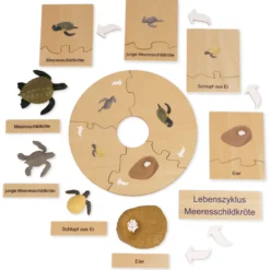 TimeTEX Lebenszyklus einer Schildkröte, in Holzbox