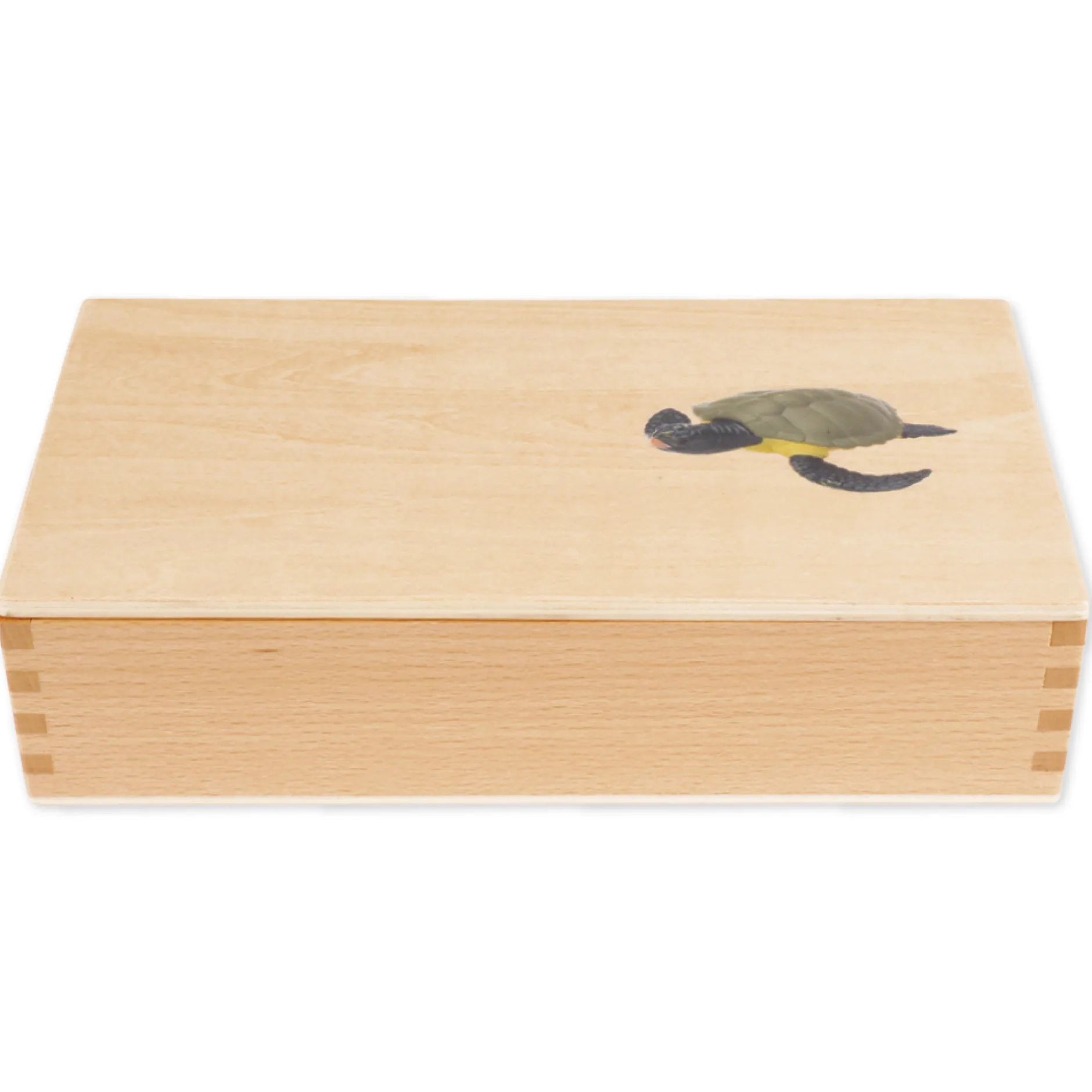 TimeTEX Lebenszyklus einer Schildkröte, in Holzbox "Montessori Premium"