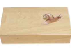TimeTEX Lebenszyklus einer Schnecke, in Holzbox