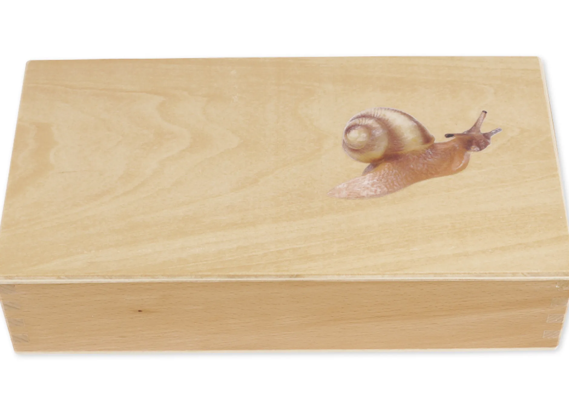 TimeTEX Lebenszyklus einer Schnecke, in Holzbox "Montessori Premium"