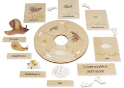 TimeTEX Lebenszyklus einer Schnecke, in Holzbox