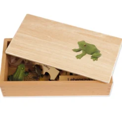 TimeTEX Lebenszyklus eines Frosches, in Holzbox