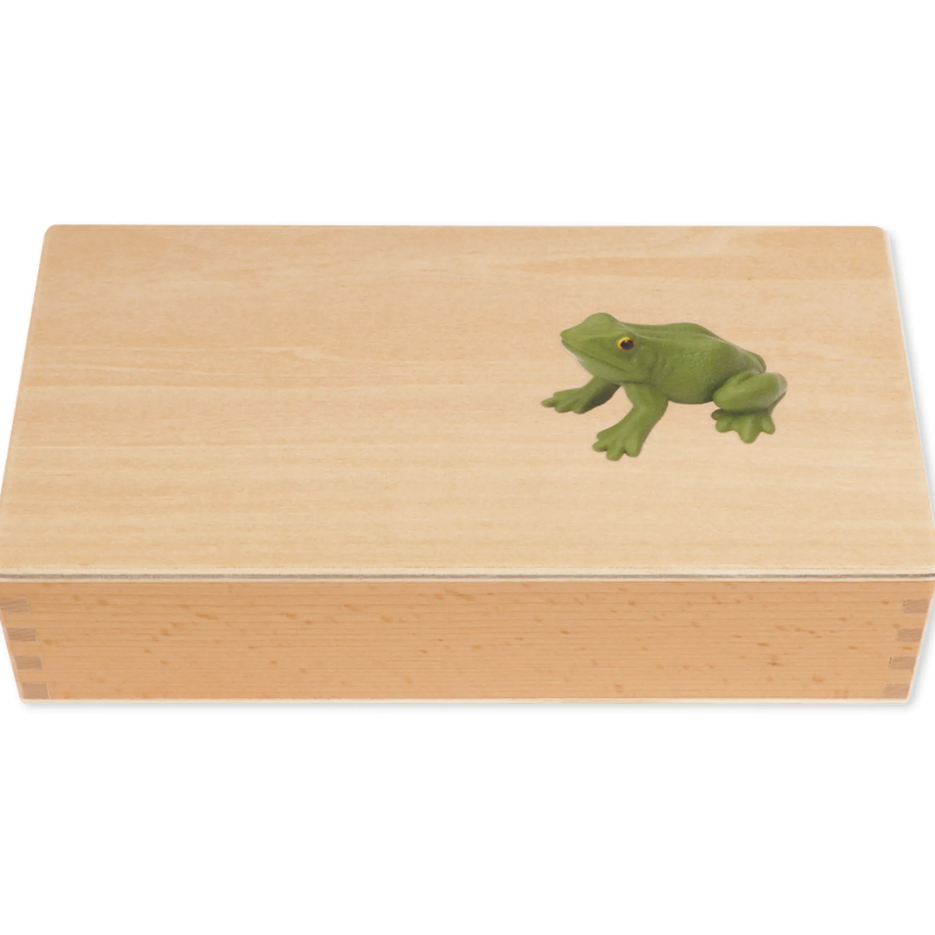 TimeTEX Lebenszyklus eines Frosches, in Holzbox "Montessori Premium"