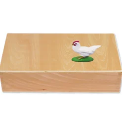 TimeTEX Lebenszyklus eines Huhns, in Holzbox "Montessori Premium"