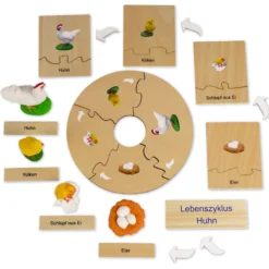 TimeTEX Lebenszyklus eines Huhns, in Holzbox "Montessori Premium"