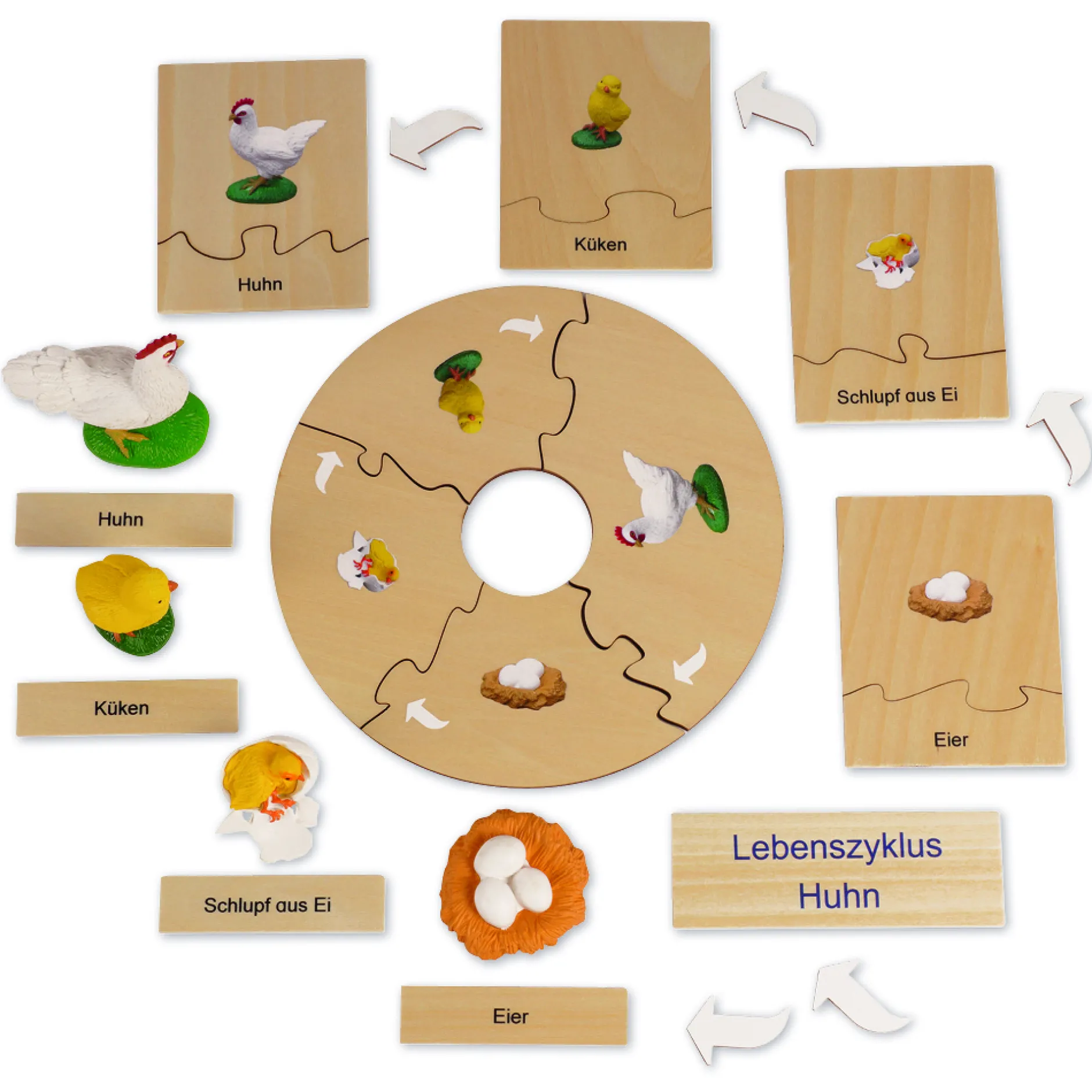TimeTEX Lebenszyklus eines Huhns, in Holzbox "Montessori Premium"